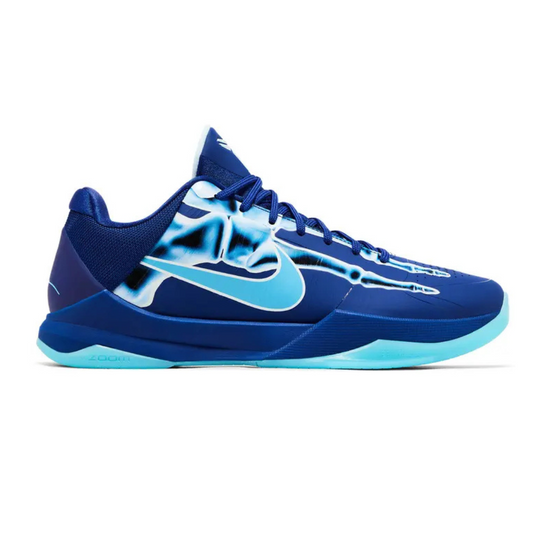 KB 5 Protro X-Ray